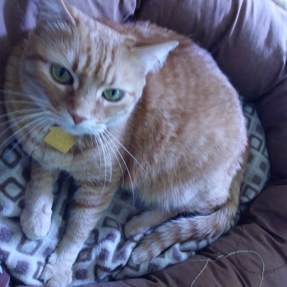 Meet your Posher, Holley